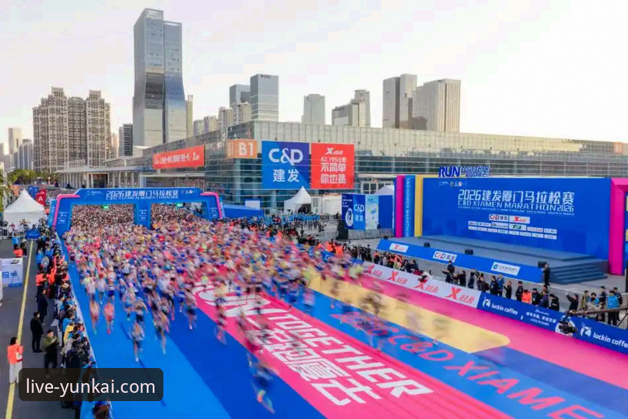 云开体育平台2026手机版最新动态：全方位观赛指南与深度体验解析